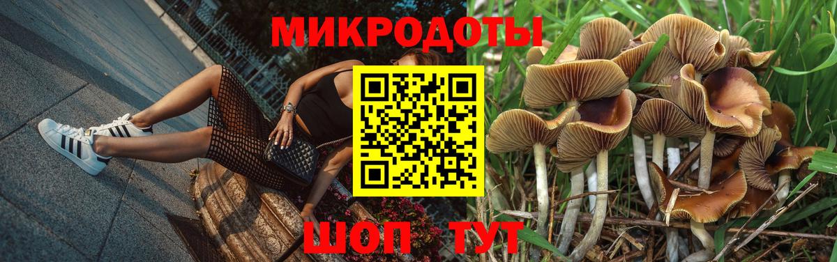 Кисловодск  Галлюциногенные грибы GOLDEN TEACHER  Вход с VPN 